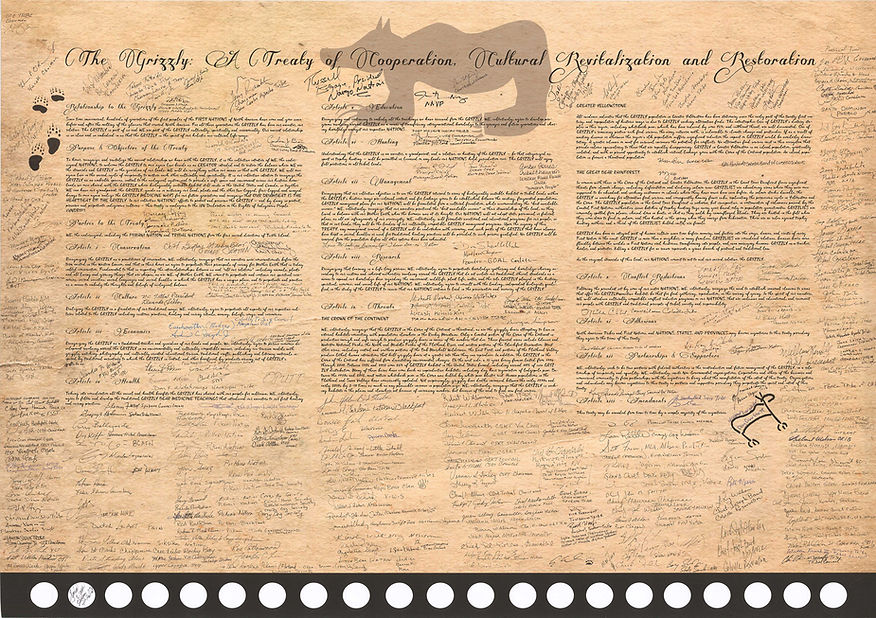 Grizzly: A Treaty of Cooperation, Cultural Revitalization and Restoration, also known as the Piikani Treaty. Initiated by the Piikani Nation, this historic North American tribal accord has brought together more than 170 Tribal Nations and First Nations in a shared commitment to protect the grizzly bear, revitalize Indigenous cultures, and restore the ancient relationship between people and the grizzly.